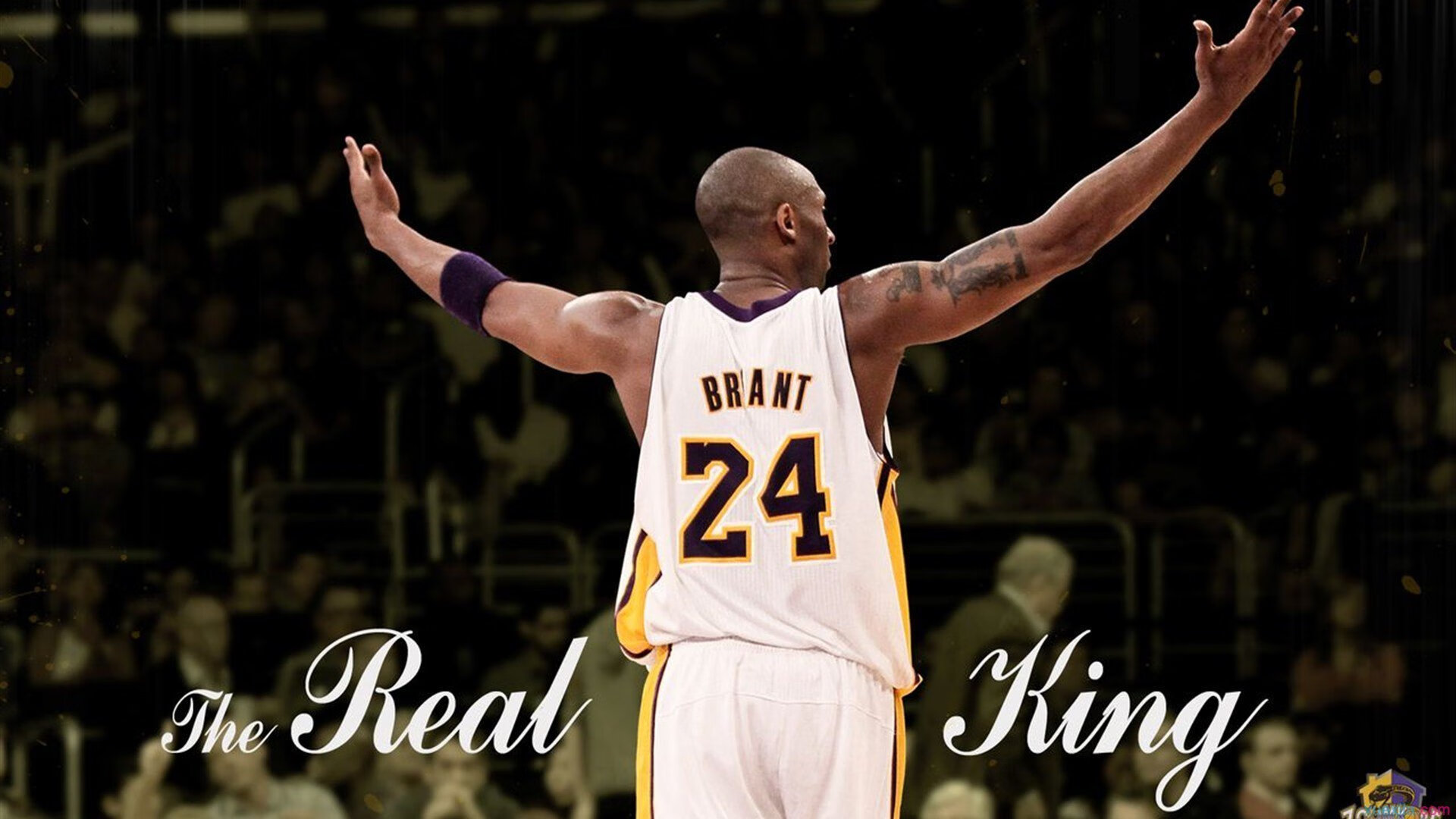 《2025年电竞市场持续爆发，产业规模突破80亿美元》，未来20年电竞发展趋势